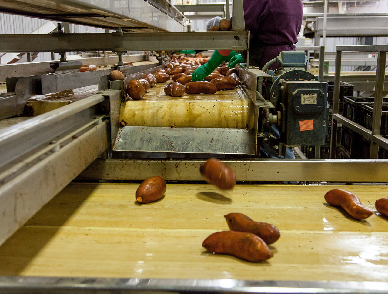 Food Processing R L Mehra Co